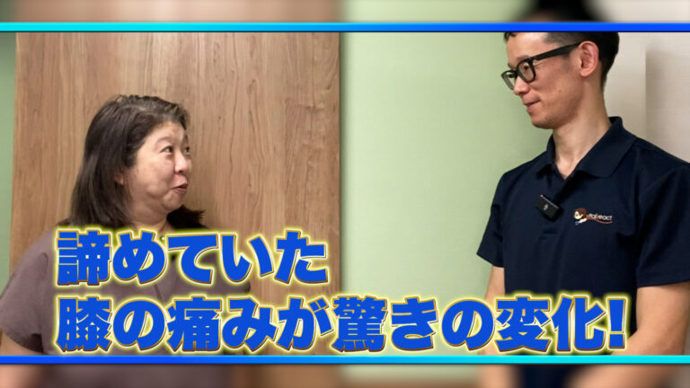 美容・健康系YouTube